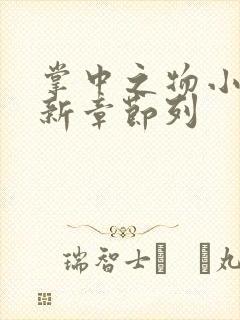 掌中之物小说最新章节列