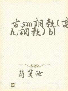 古sm调教(高h,调教) bl