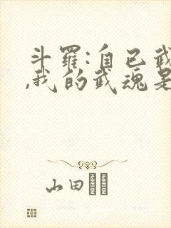 斗罗:自已武魂,我的武魂是魂斗罗