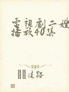 电视剧二嫂全集播放40集封面