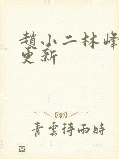 赵小二林峰刚刚更新