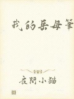 我的岳母笔趣阁