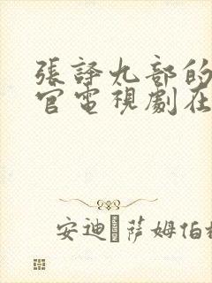 张译九部的检察官电视剧在线观看免费