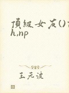 顶级女友()高h,np