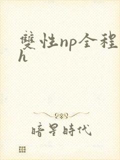 双性np全程高h