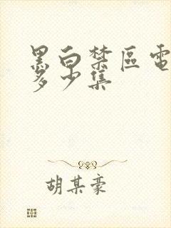 黑白禁区电视剧多少集