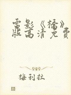 电影《桥》完整版高清免费观看封面