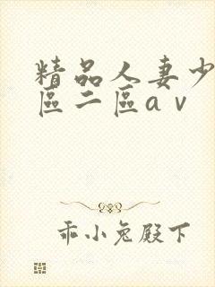 精品人妻少妇一区二区aⅴ