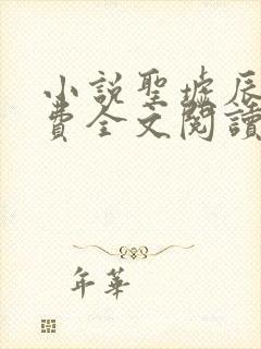 小说圣墟辰东免费全文阅读下载封面