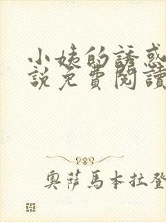 小姨的诱惑我小说免费阅读无弹窗