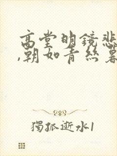 高堂明镜悲白发,朝如青丝暮成雪