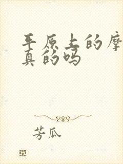 平原上的摩西是真的吗封面