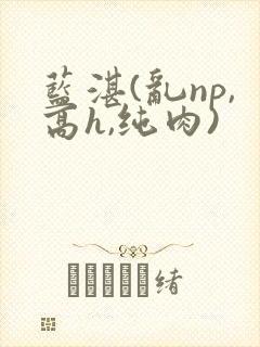 蓝湛(乱np,高h,纯肉)