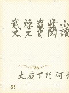 武炼巅峰小说全文免费阅读无弹窗