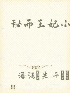 秘面王妃小说封面