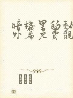 暗格里的秘密番外篇免费观看26集