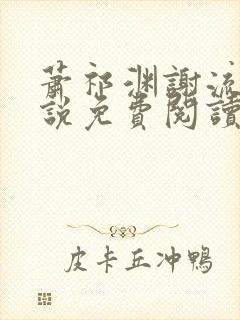 萧祁渊谢流铮小说免费阅读最新章节