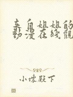 来自姐姐的关爱动漫在线观看全集封面