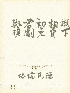 与君初相识 电视剧免费下载