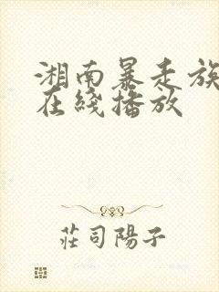 湘南暴走族动漫在线播放