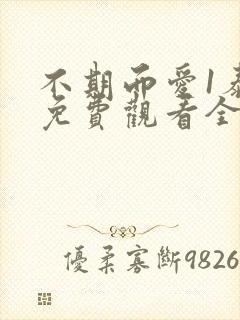 不期而爱1泰剧免费观看全集剧情封面