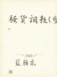 骚货调教(双性,