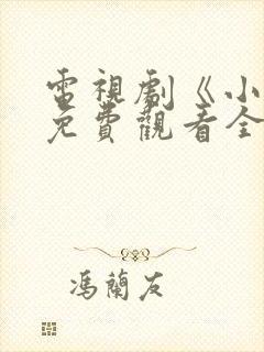 电视剧《小舅》免费观看全集高清