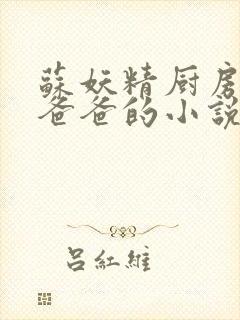 苏妖精厨房爹爹爸爸的小说封面