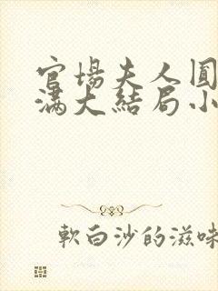 官场夫人圆润饱满大结局小说在线阅