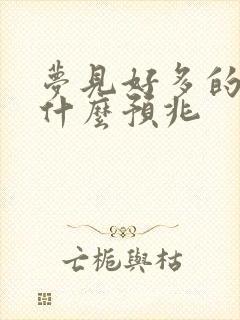 梦见好多的鞋子什么预兆