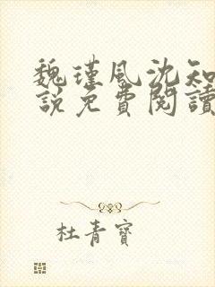 魏瑾风沈知玉小说免费阅读最新章节