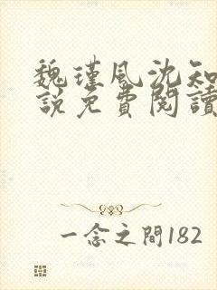 魏瑾风沈知玉小说免费阅读最新章节