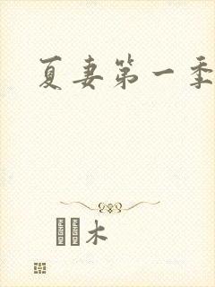 夏妻第一季全集