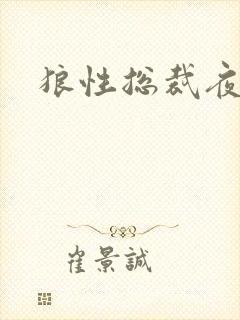 狼性总裁夜欢宠