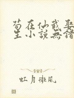 苟在仙武娶妻长生小说无错版封面