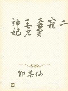 神王毒宠二嫁王妃免费
