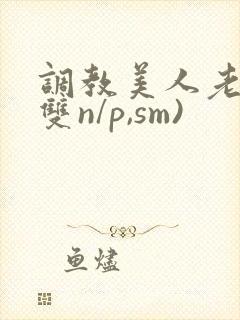 调教美人老师(双n/p,sm)