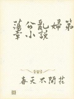 荡公乱妇第51章小说