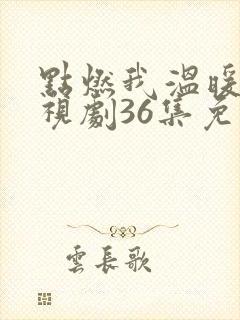 点燃我温暖你电视剧36集免费观看封面