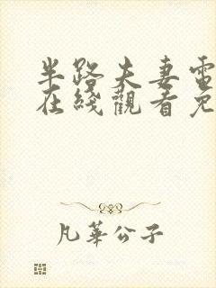 半路夫妻电视剧在线观看免费高清