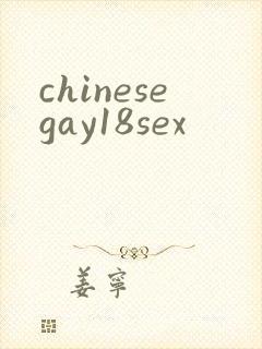 chinesegay18sex