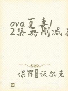 ova夏妻1 2集无删减在线观看