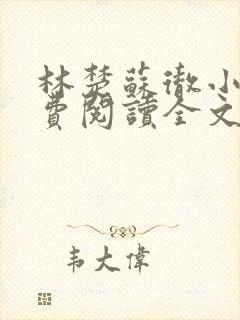 林楚苏彻小说免费阅读全文最新章节封面