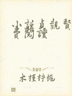 小说贞观贤王免费阅读