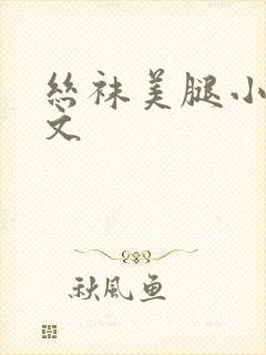 丝袜美腿小说h文