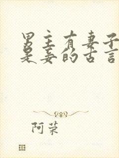 男主有妻子女主是妾的古言