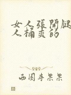 女人张开腿让男人桶爽的