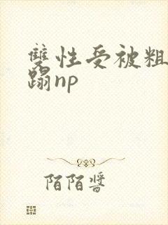 双性受被粗人糟蹋np