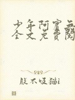 少年阿宾无删减全文免费阅读笔趣阁封面