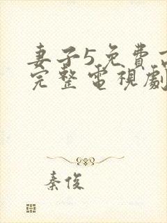 妻子5免费高清完整电视剧